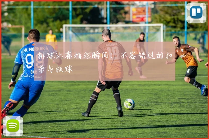 排球比赛精彩瞬间:不容错过的扣杀与救球